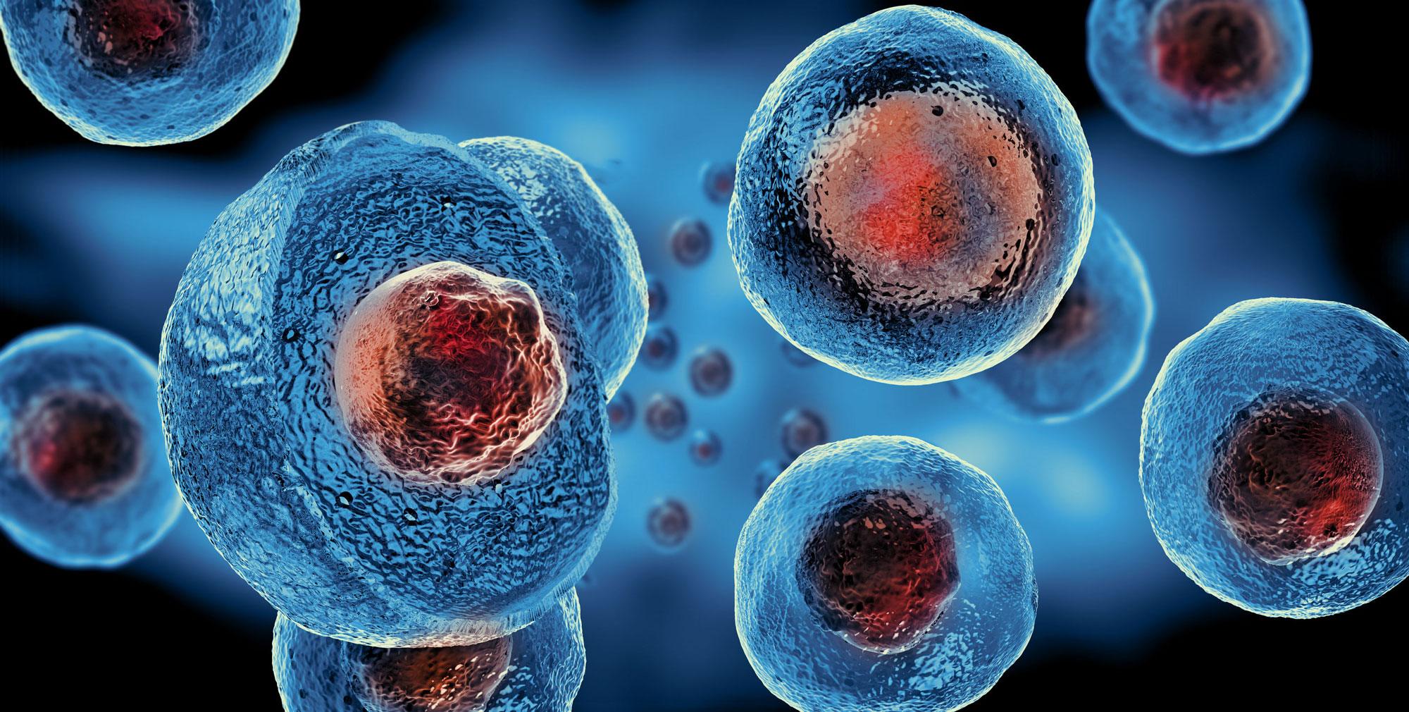Stem Cells PRP